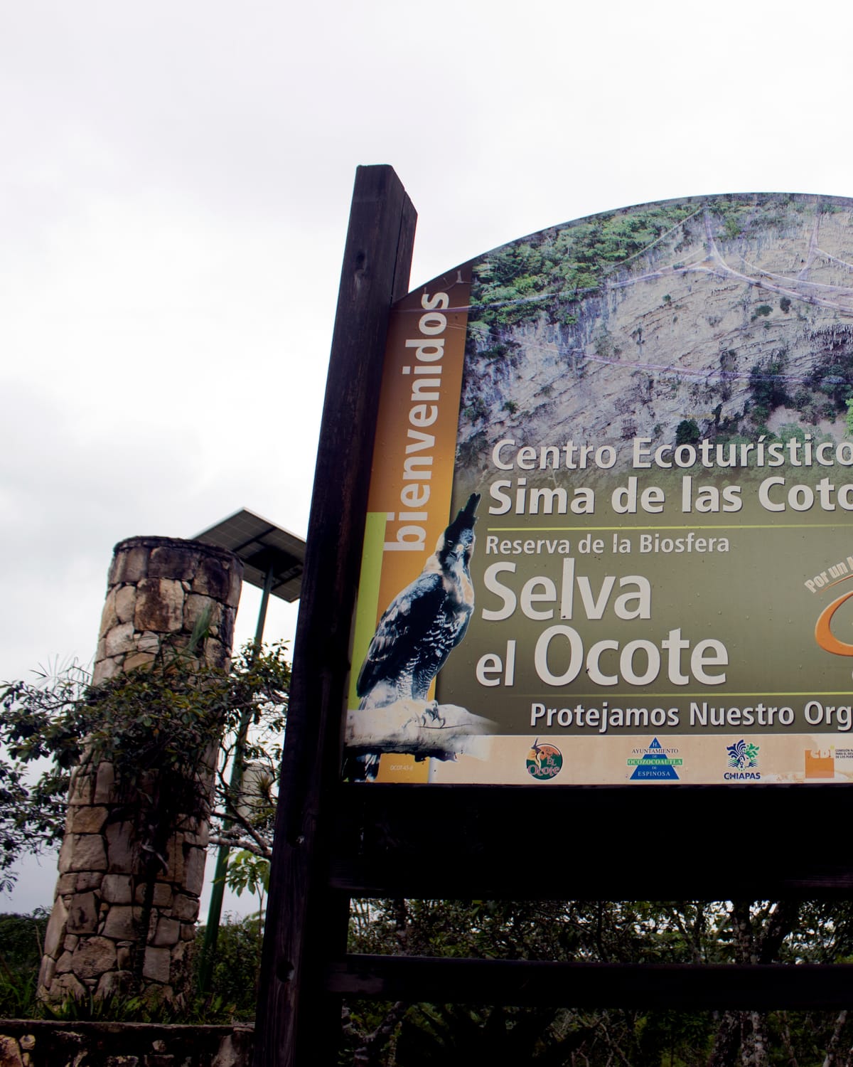 Selva El Ocote
